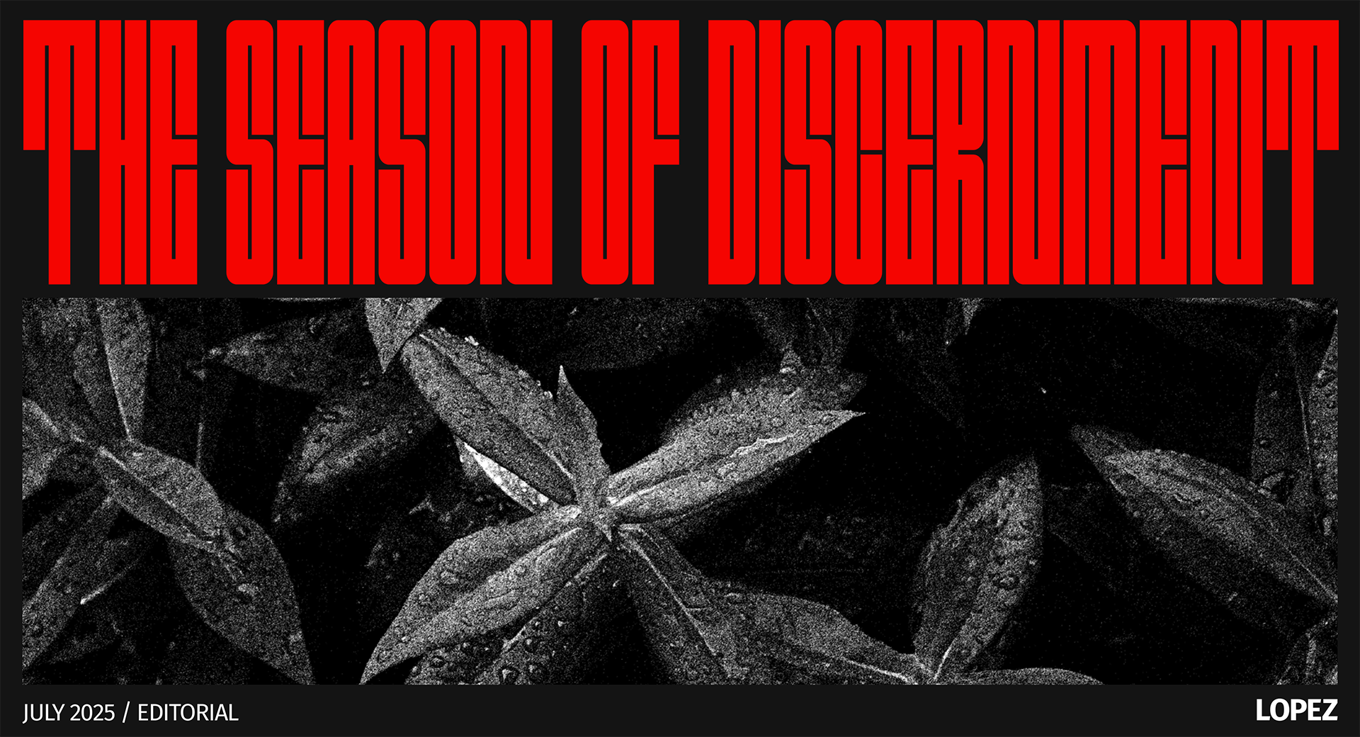 LD newsletter editorial -1